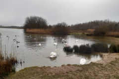Photo-16-02-2021-09-49-15