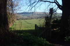 South-Downs